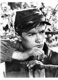Phillip Alford
