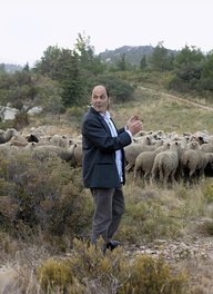Jean-Pierre Bacri