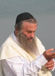Assi Dayan