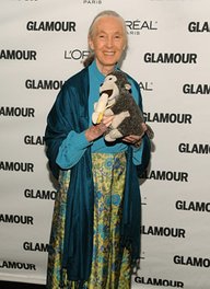Jane Goodall