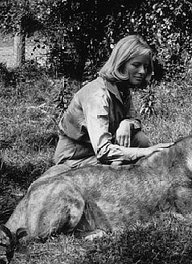 Virginia McKenna