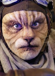 Ardal O'Hanlon