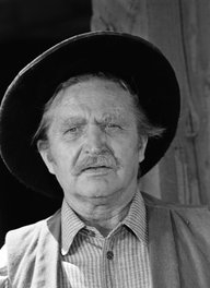 Karl Swenson