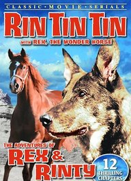 Rin Tin Tin Jr.