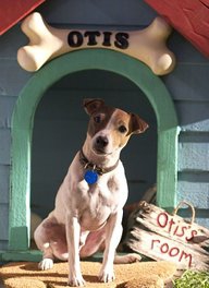 Otis