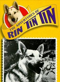 Rin Tin Tin II