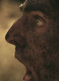 Andrew Harwood Mills