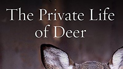 The Private Life of Deer