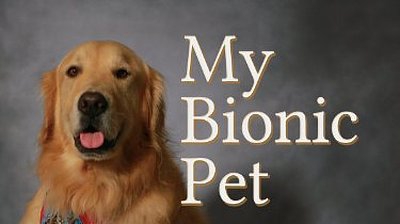 My Bionic Pet