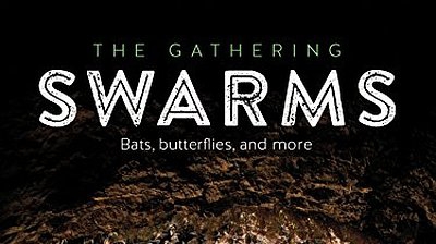 The Gathering Swarms