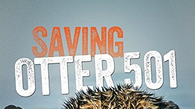 Saving Otter 501