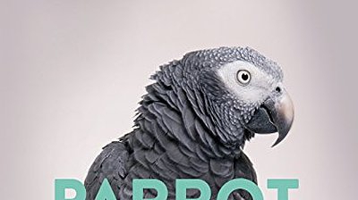 Parrot Confidential