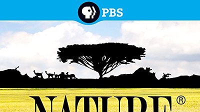 Nature's Miracle Orphans: Second Chances - Part 1