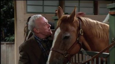 The Gift Horse