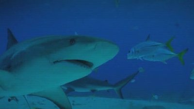 Making Stuff: Smarter