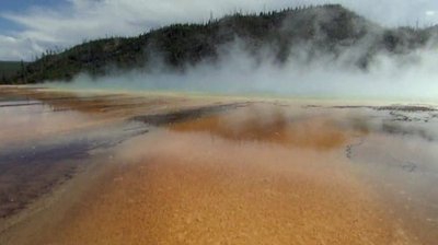 Hunting the Elements