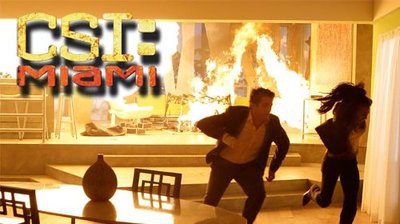 Miami Confidential