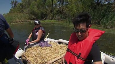 Do Try This at Home?