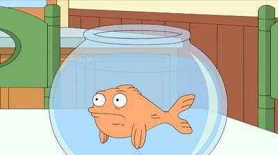 Da Flippity Flop