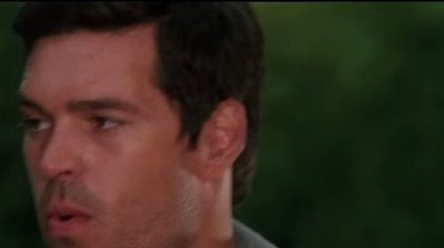 Alpha Male