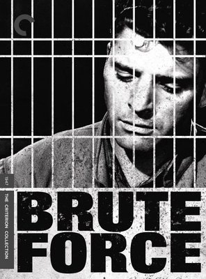 Poster of Brute Force
