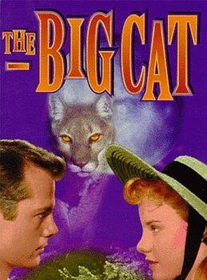 Poster of The Big Cat