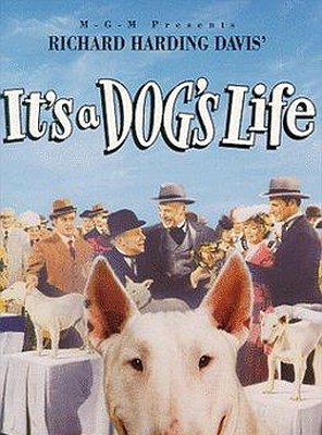 Poster of It's a Dog's Life