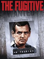 Poster of The Fugitive