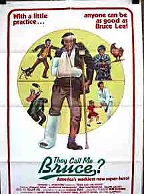 Poster of They Call Me Bruce?