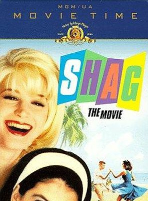 Poster of Shag