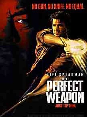Poster of The Perfect Weapon