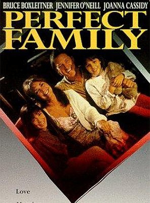 Poster of Perfect Family