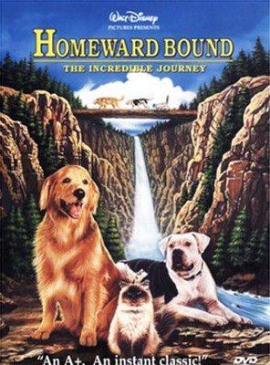 Poster of Homeward Bound: The Incredible Journey