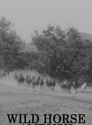 Poster of Wild Horse Ambush