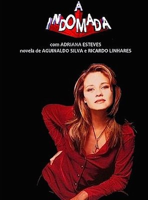 Poster of A Indomada