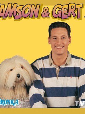 Poster of Samson en Gert