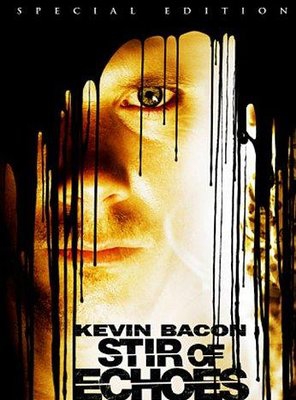 Poster of Stir of Echoes