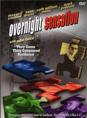 Poster of Overnight Sensation