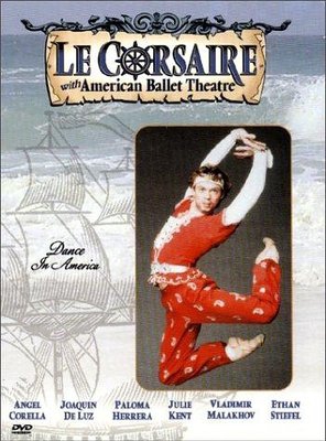 Poster of Le corsaire