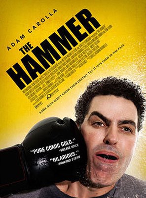 Poster of The Hammer