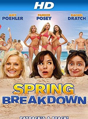 Poster of Spring Breakdown