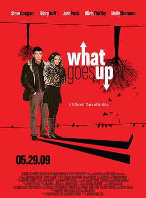 Poster of What Goes Up