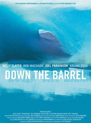 Poster of Down the Barrel