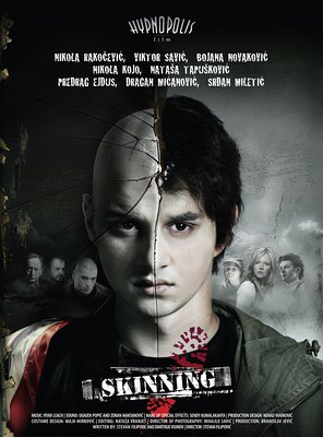 Poster of Skinning