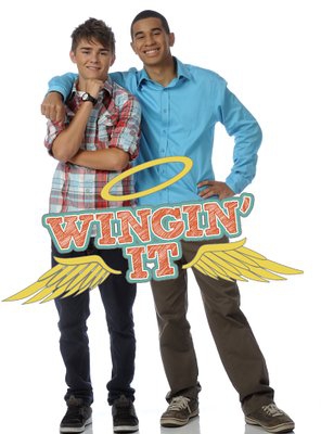 Poster of Wingin' It