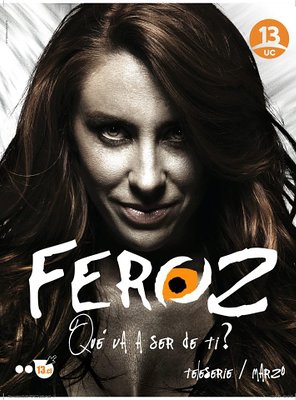Poster of Feroz