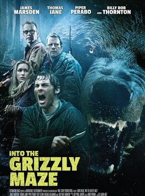 Poster of Into the Grizzly Maze