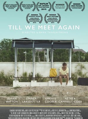 Poster of Till We Meet Again