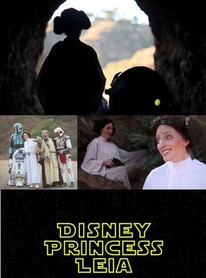 Poster of Disney Princess Leia: Part of Han's World