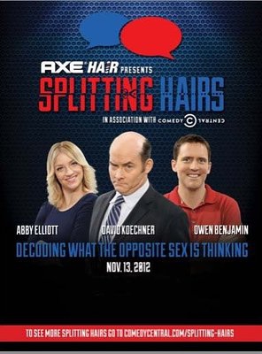 Poster of Splitting Hairs